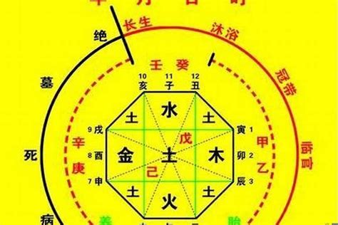 喜用神分析|八字入门基础 第六篇 如何判断八字喜用神